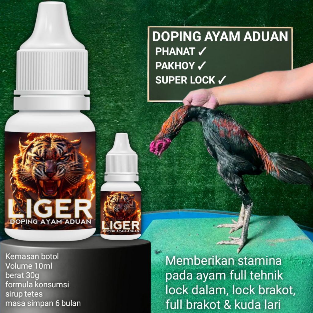 Liger Doping ayam pakhoy full brakot