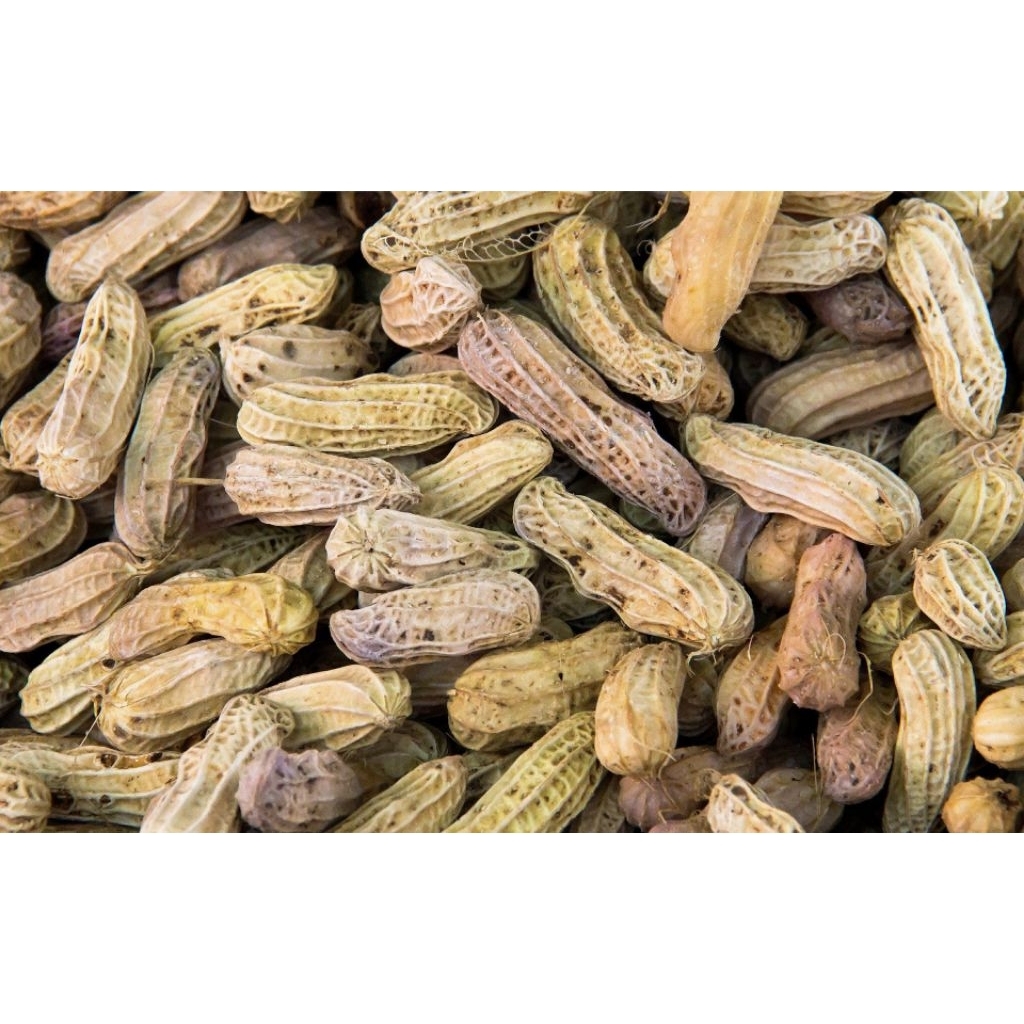 

KACANG TANAH FRES 1 KILO