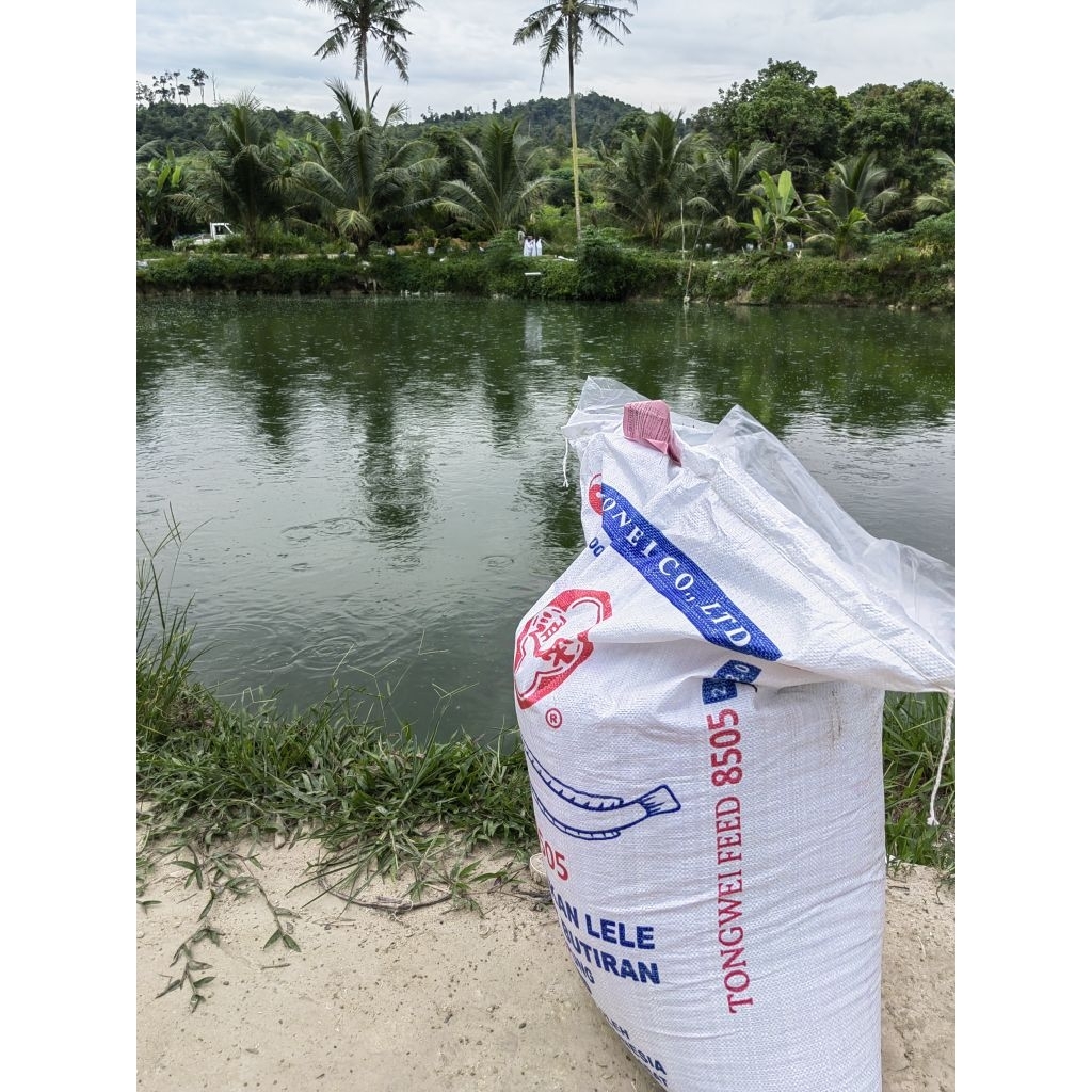 Pakan Ikan Lele Tongwei 8505