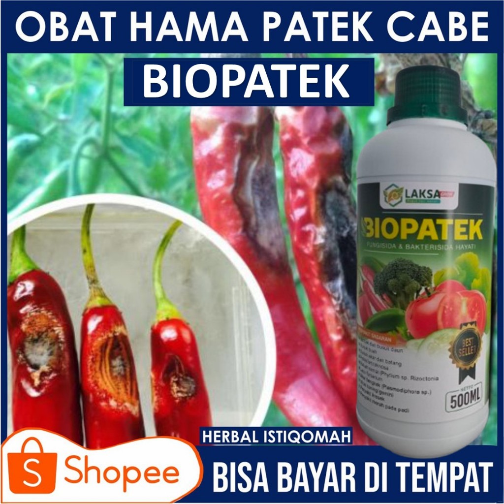 OBAT SEMPROT PATEK CABE BIOPATEK Fungisida Hayati Patek Cabe Obat Cabai Patek, Pupuk Patek Cabe AMPU
