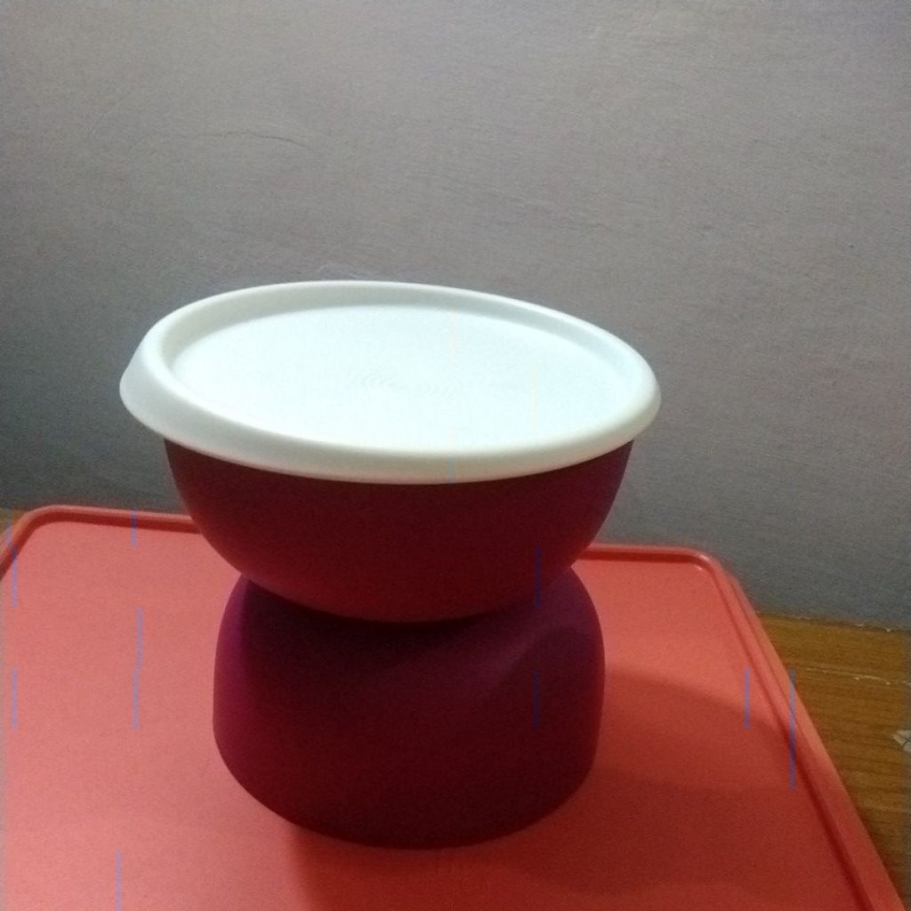 Mangkok dengan Tutup 550ml Tupperware Radish Bowl (1 pcs)