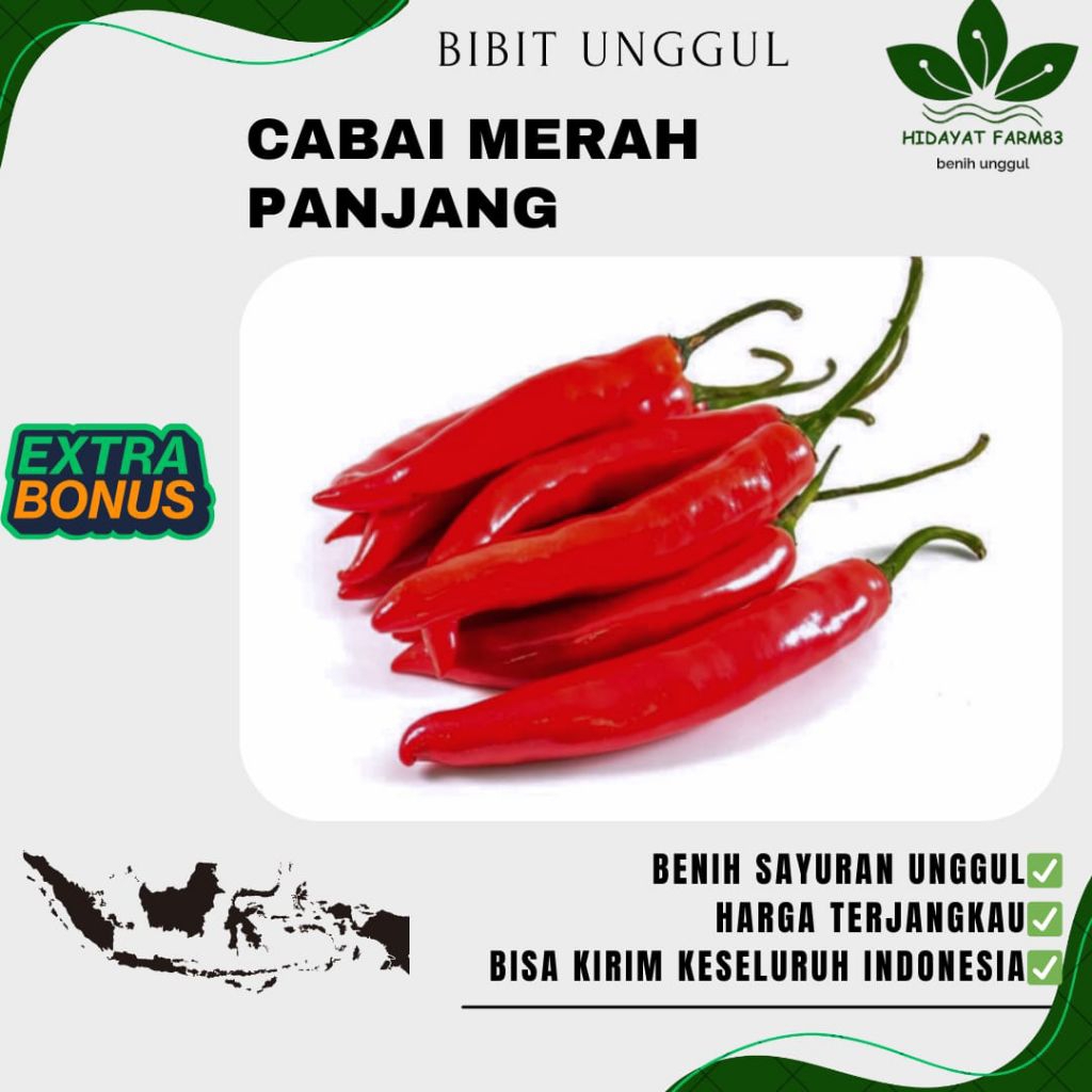 ( 500 gram ) Benih biji cabe merah besar lokal beuty | murah | cod