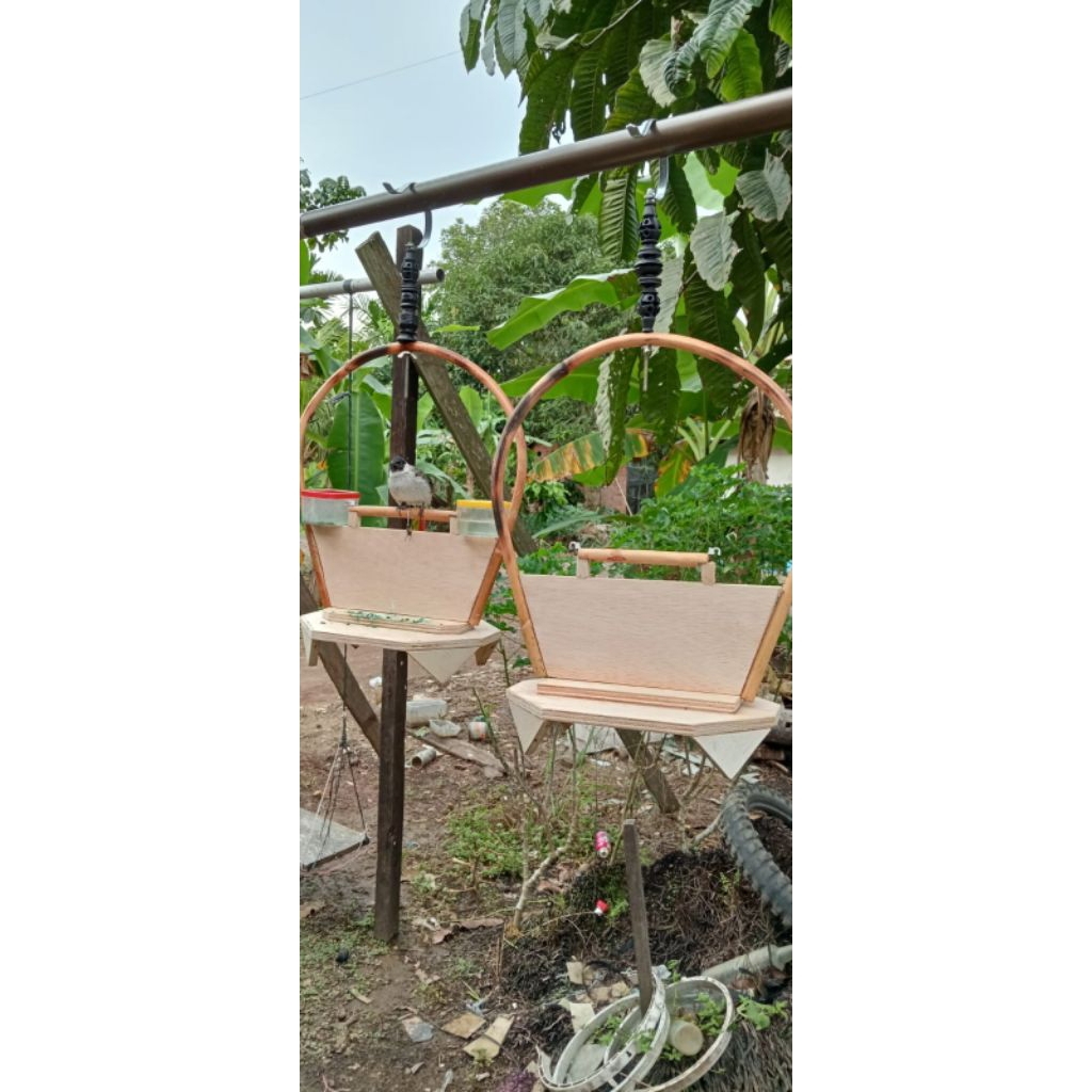 sangkar layang kutilang