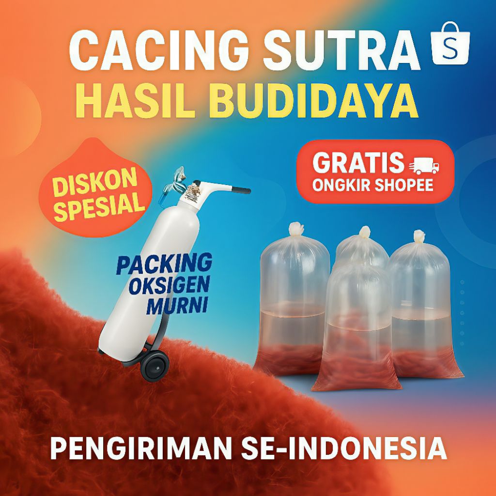 Cacing sutra | Cacing sutra murni | Cacing sutra hidup | Cacing Sutra  bandel