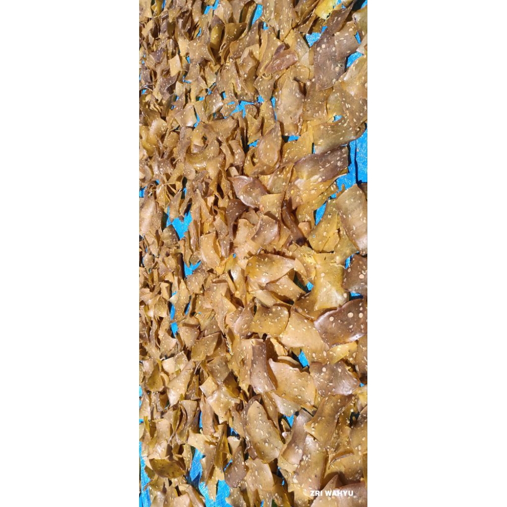 

KerupukTempeMataharu