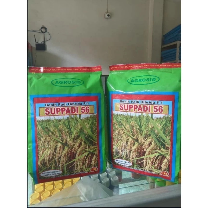 BENIH SUPPADI 56 1KG BENIH PADI HIBRIDA