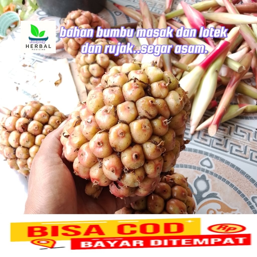 buah honje pink honje segar fresh