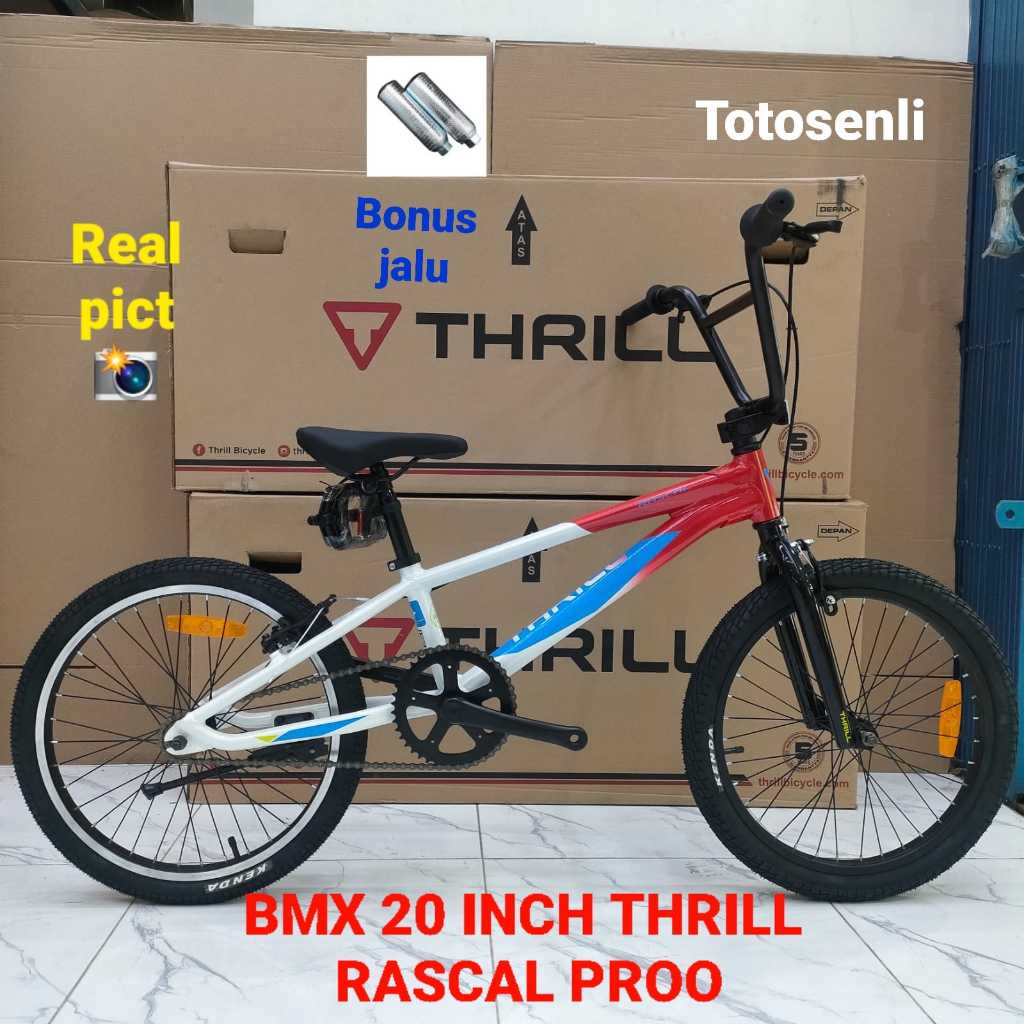 SEPEDA ANAK BMX 20 INCH THRILL RASCAL PRO SEPEDA ANAK BONUS JALU