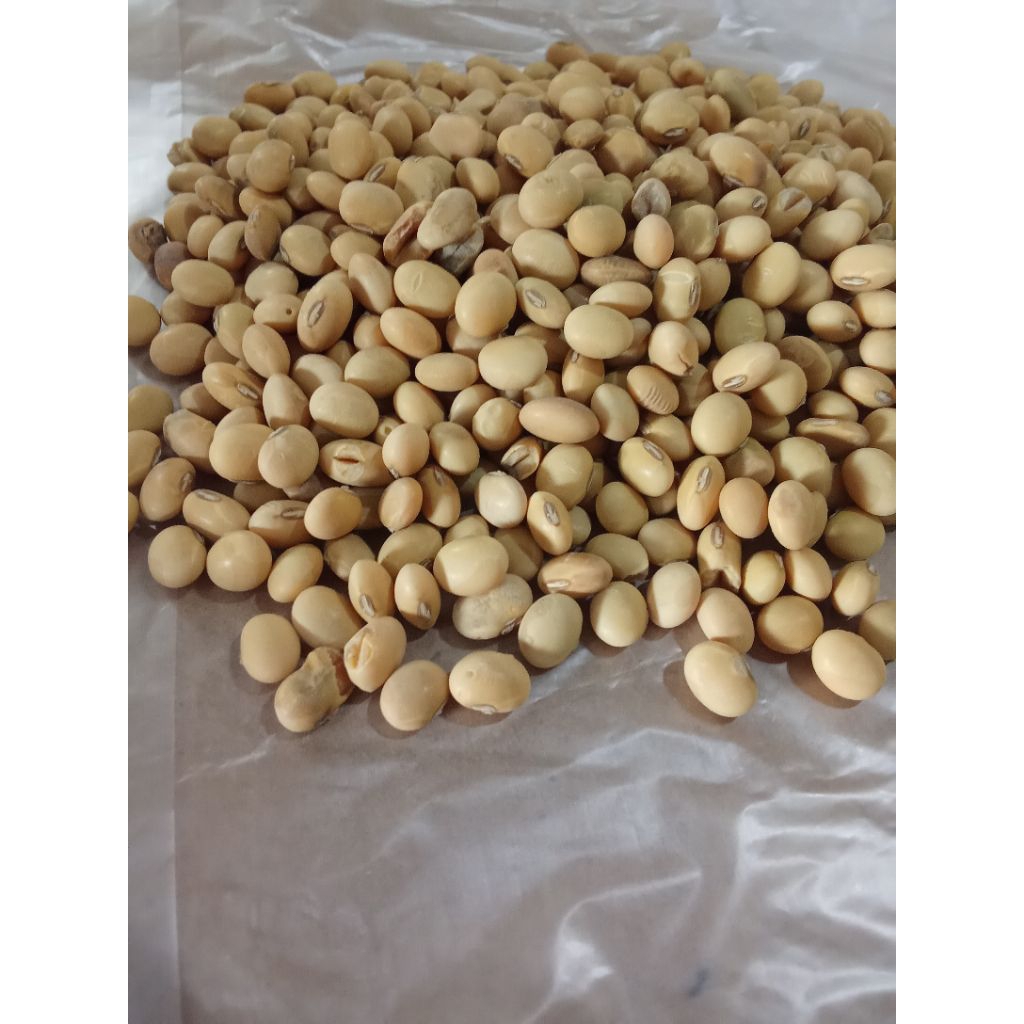 

kacang kedelai lokal /1kg