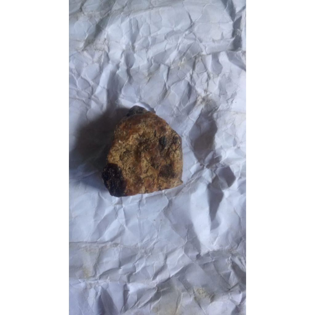 Muntahan Paus (Ambergris)