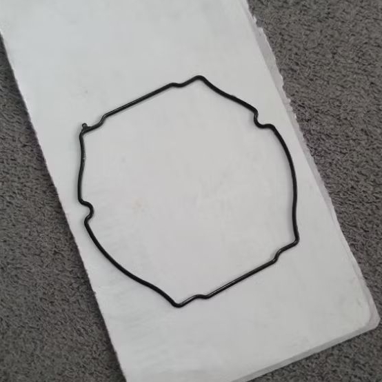 SEAL O RING CASIO PROTREK WSD-F20 ORIGINAL