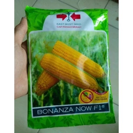 

TERLARIS BONANZA !!! Bibit jagung BONANZA NOW F1 isi 1800 butir asli kemasan pabrik EXP 2026