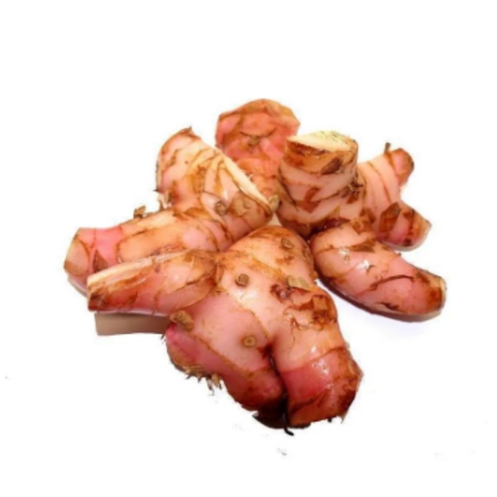 

Lengkuas atau Laos segar, fresh.