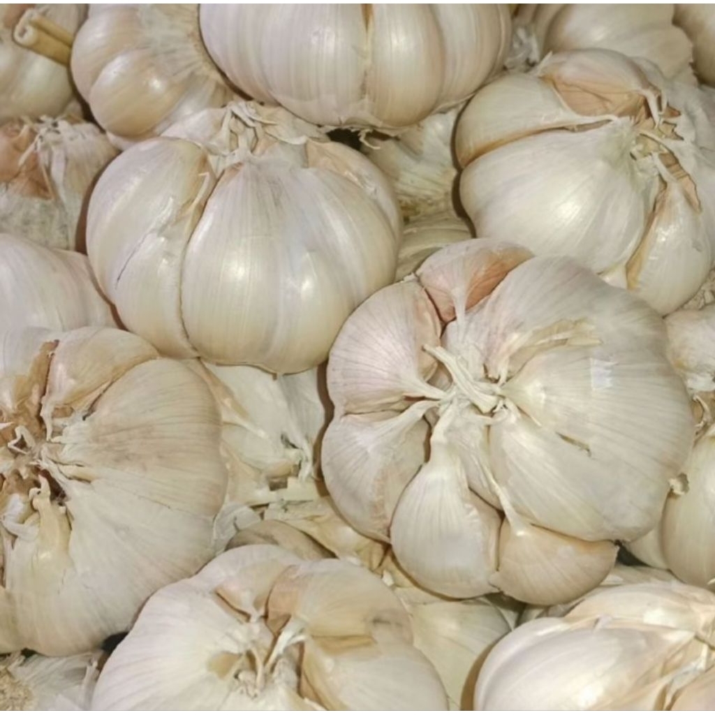 

bawang putih bersih kemasan 250gram