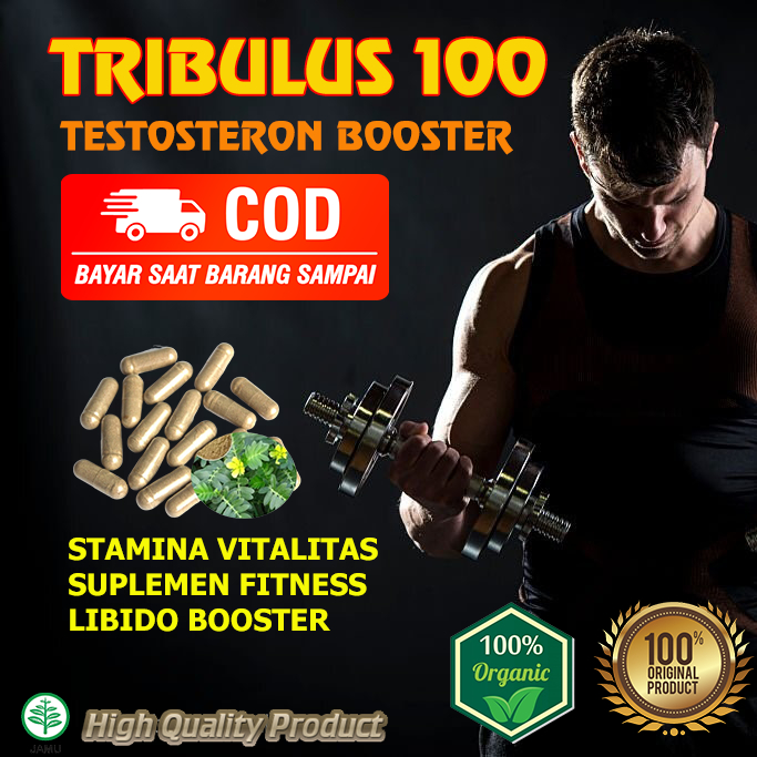 Tribulus 100 Kapsul Tribulus Terrestris Testosteron Stamina Vitalitas Pembentuk otot