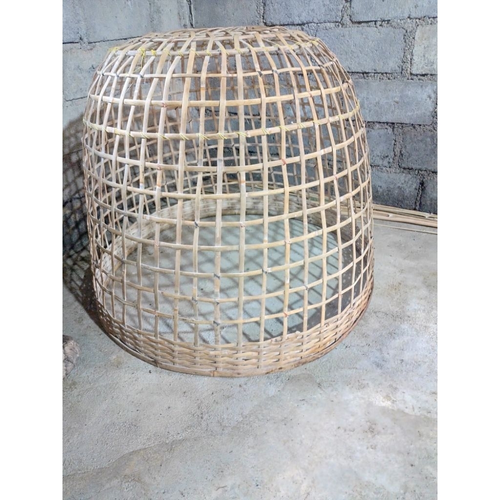 kandang umbaran ayam jago bambu berkualitas