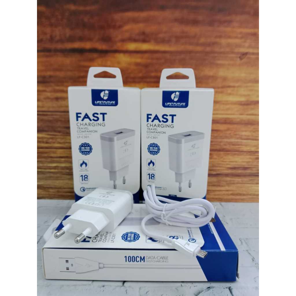 CHARGER LIFE FUTURE C301 (MICRO)