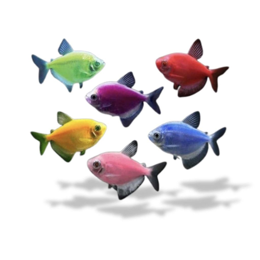 GLOW FISH