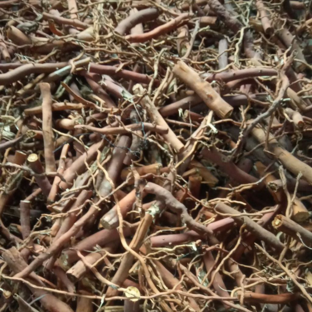 

Herbal Akar Pohon Kelapa Kering 100gram