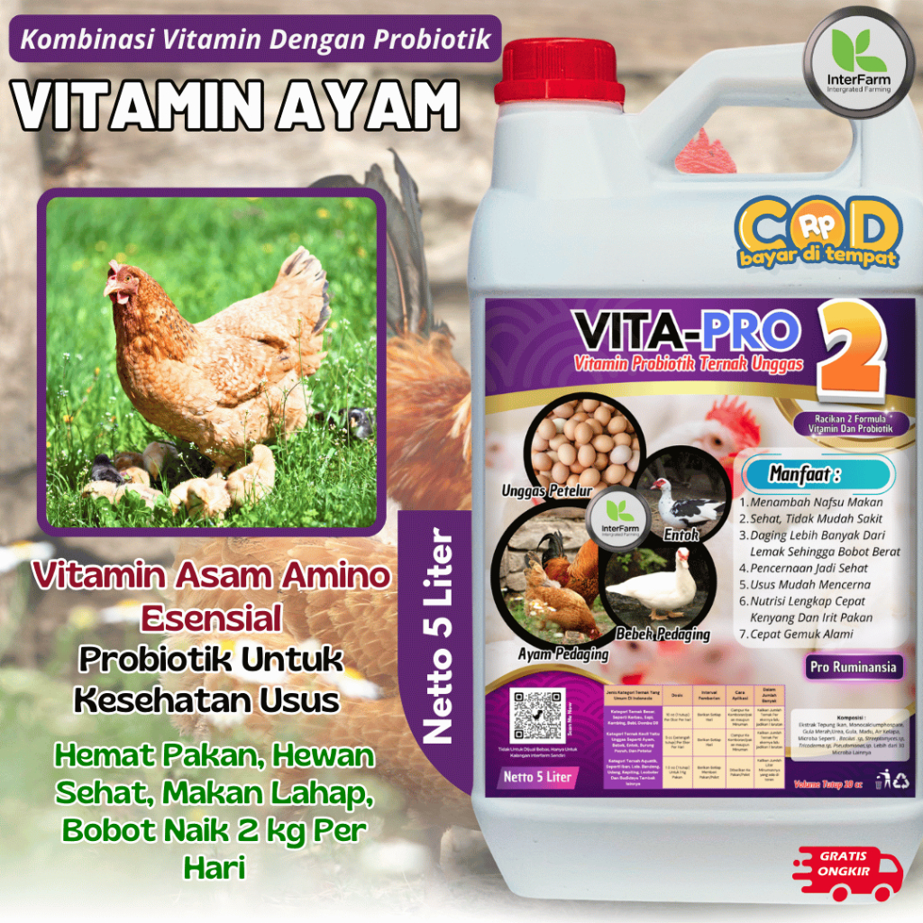 5 LIter Vitamin Ayam | Pakan Ayam Kampung & Pedaging Cepat Besar | Mineral Petelur Subur INTERFARM
