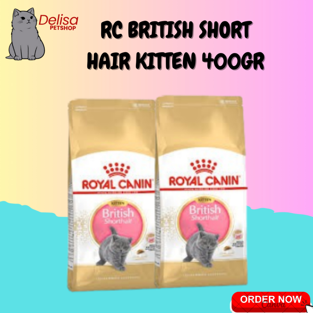RC KITTEN BRITISH 400gr - Cat Food Royal Canin Kitten British Short Hair | Makanan Kucing British