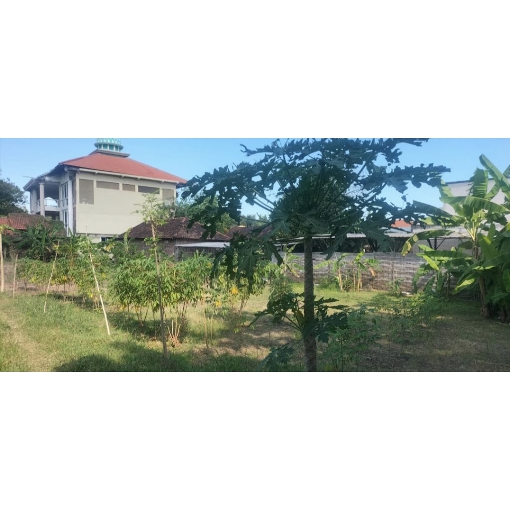 Tanah kavling menganti domas