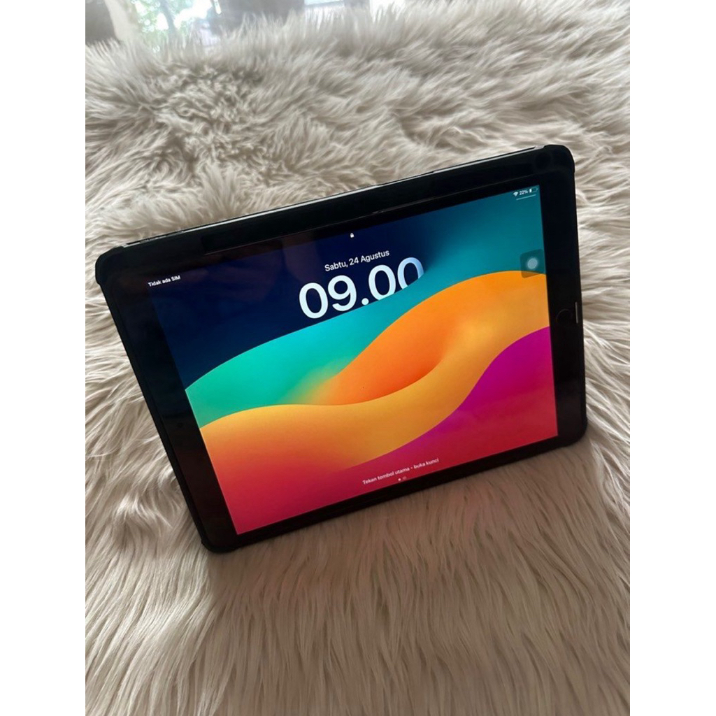 ipad pro 256GB wifi cell