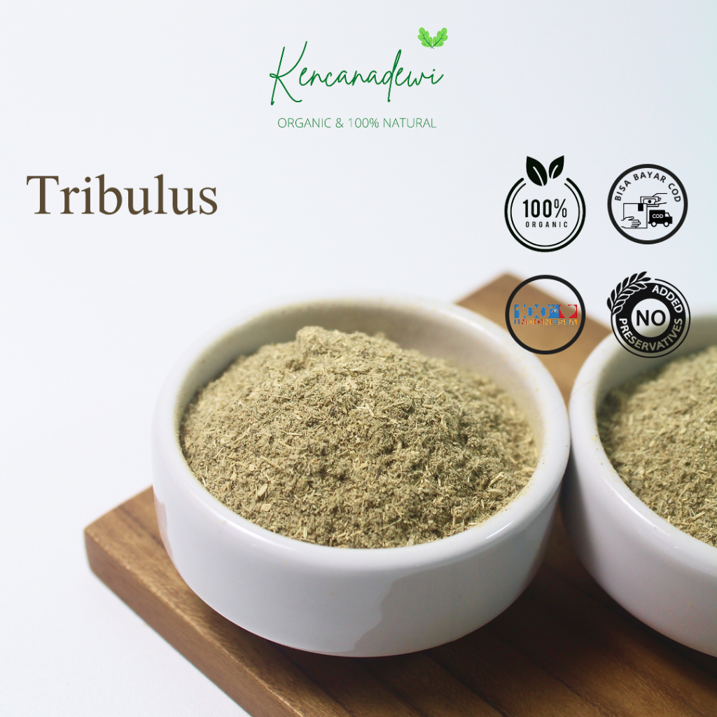 Tribulus Bubuk Murni Tanpa Campuran / Tribulus Terrestris Powder