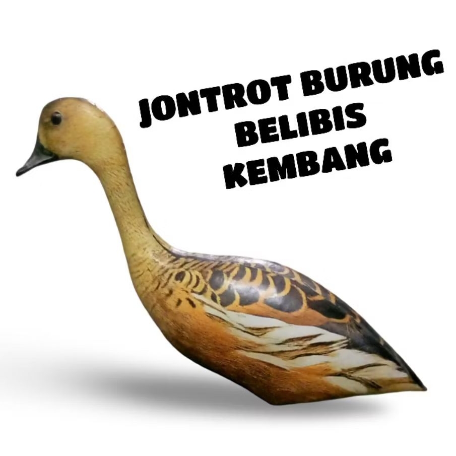 JONTROT/DECOY BELIBIS KEMBANG
