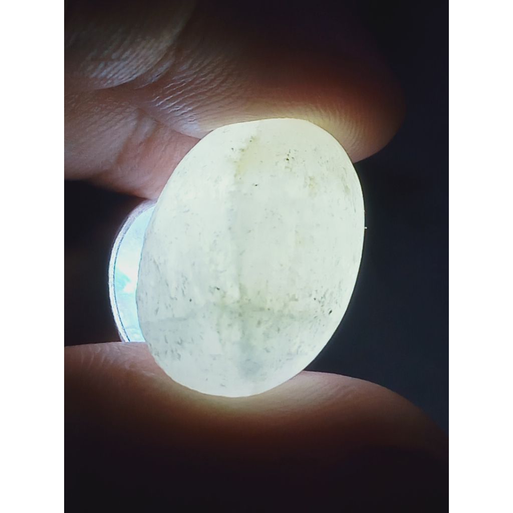 Batu Fosill Manigajah Tapak Jalak Langka