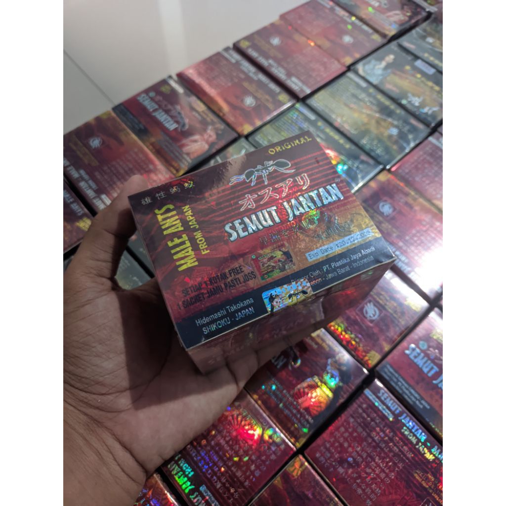 semut jantan original