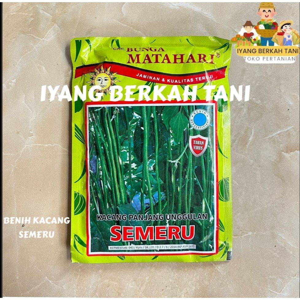 Liceriashop17 Benih Kacang Panjang Semeru 100Gr Unggulan Tahan Virus