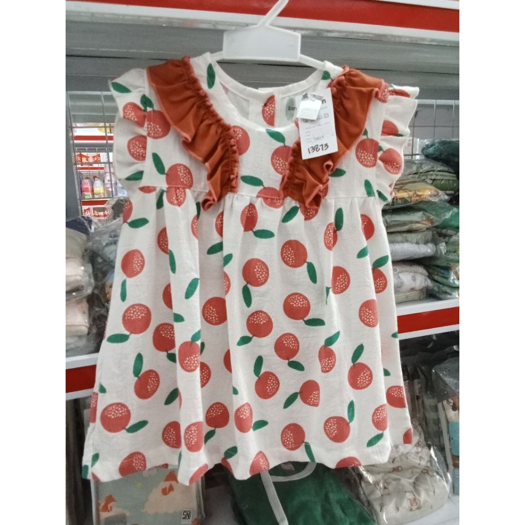 Bird & Bees Dress Motif Buah