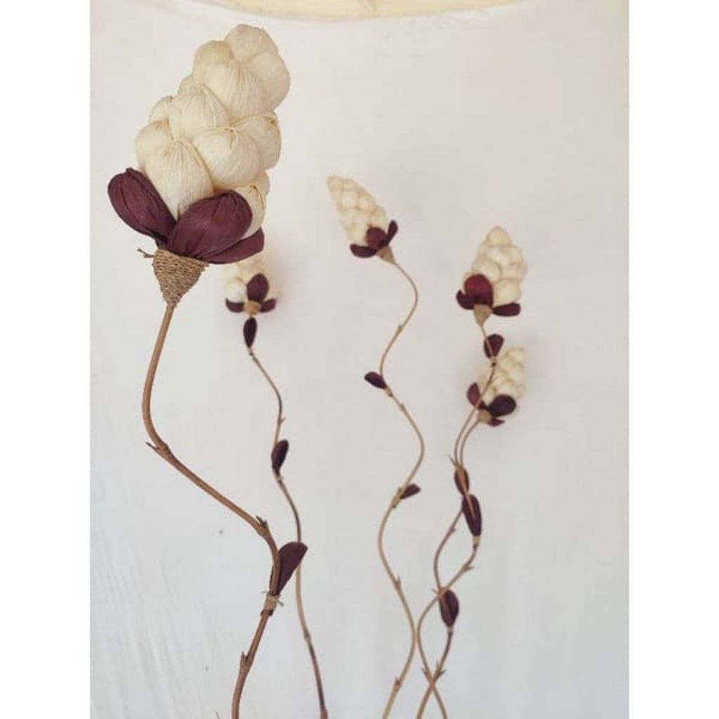 Klobot jagung kering klobot jagung dekorasi