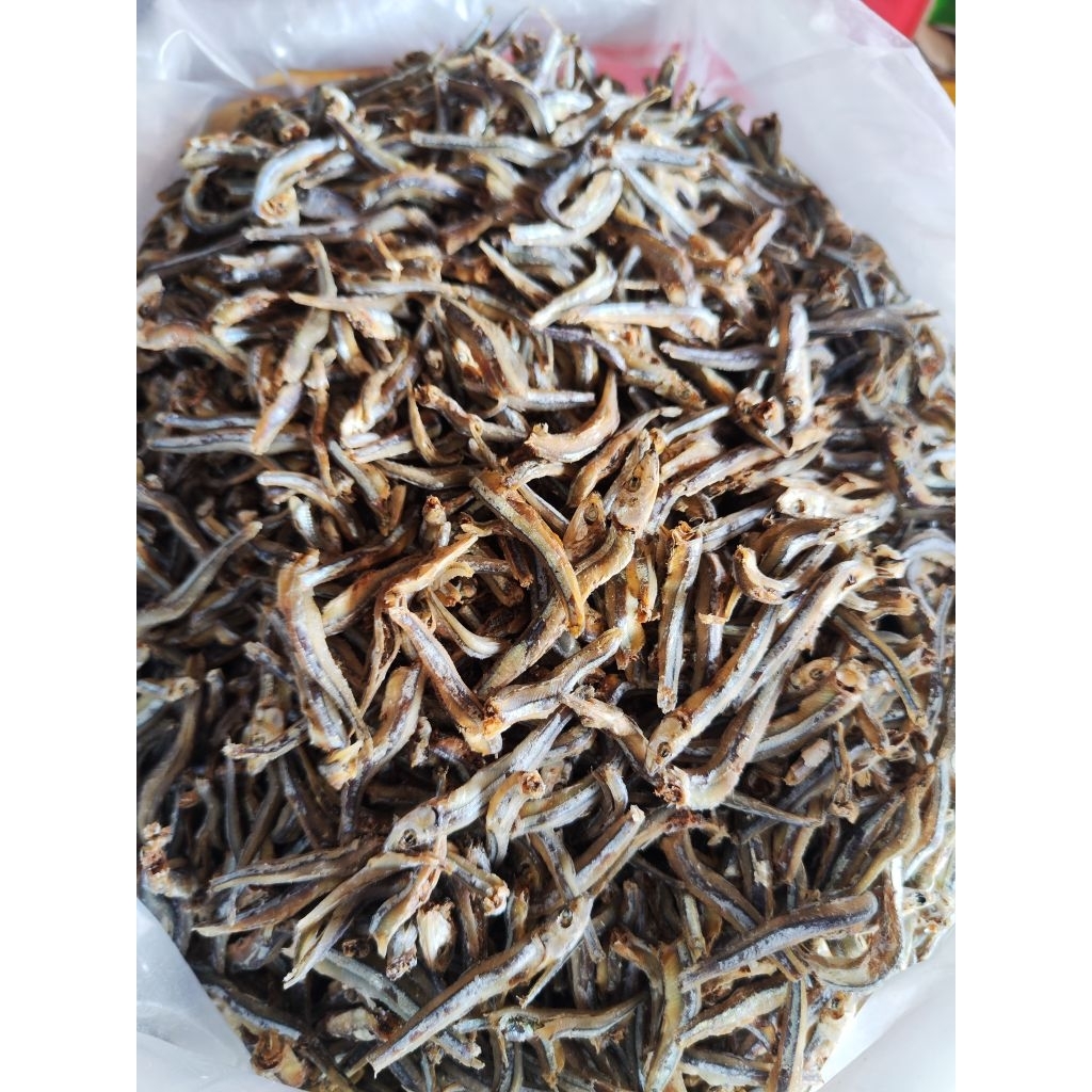 bilis tanjung pinang