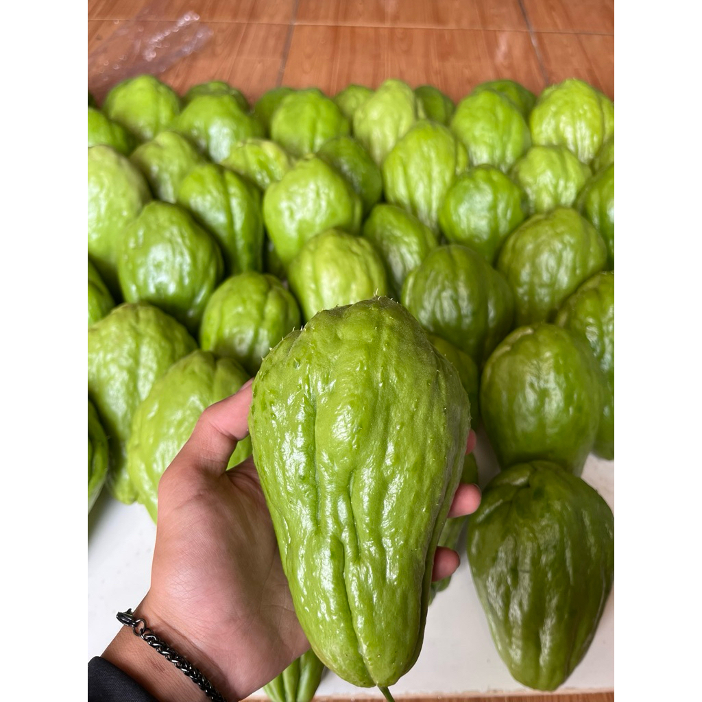 

labu siam muda fresh 1kg dari kebun