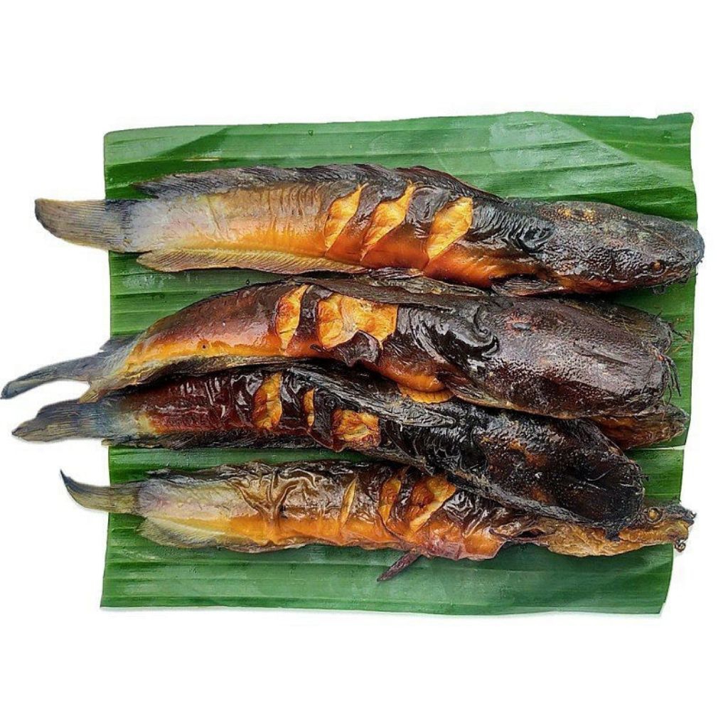 ikan Lele segar lele asap ikan lele salai premium