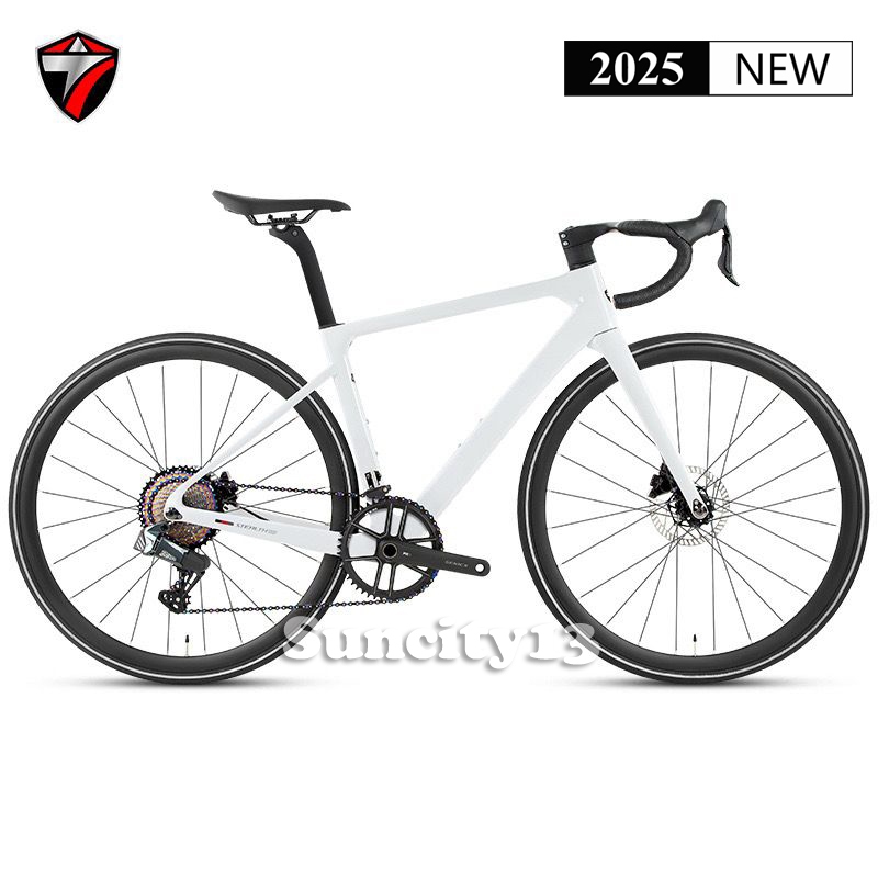 Twitter Stealth Pro Carbon 13 SPEED FULL HYDRAULIC Disc Brake Full Inner Cable Roadbike