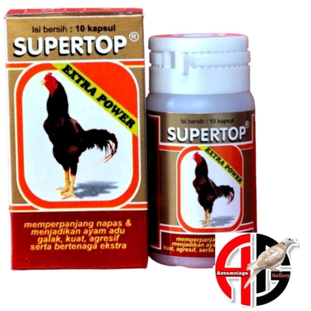 JAMU AYAM SUPER TOP JAMU AYAM BANGKOK MENAMBAH POWER DAN SETAMINA