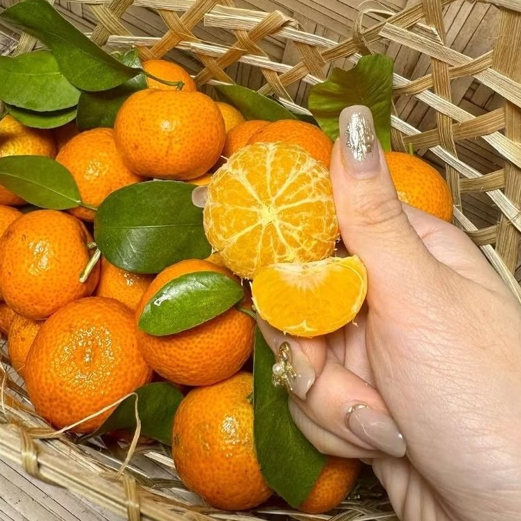 JERUK SANTANG BIRMA 1kg