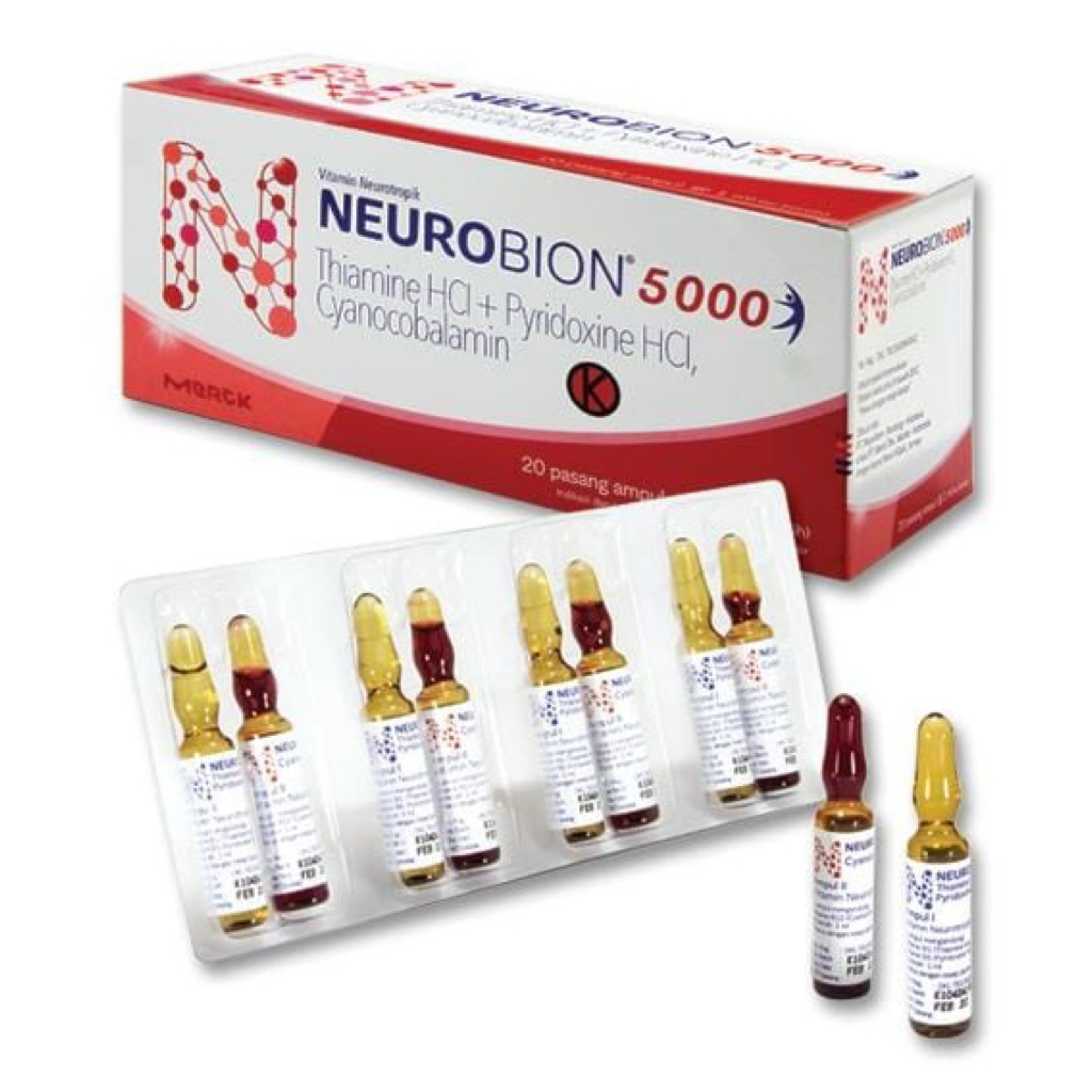 NEUROBION5000