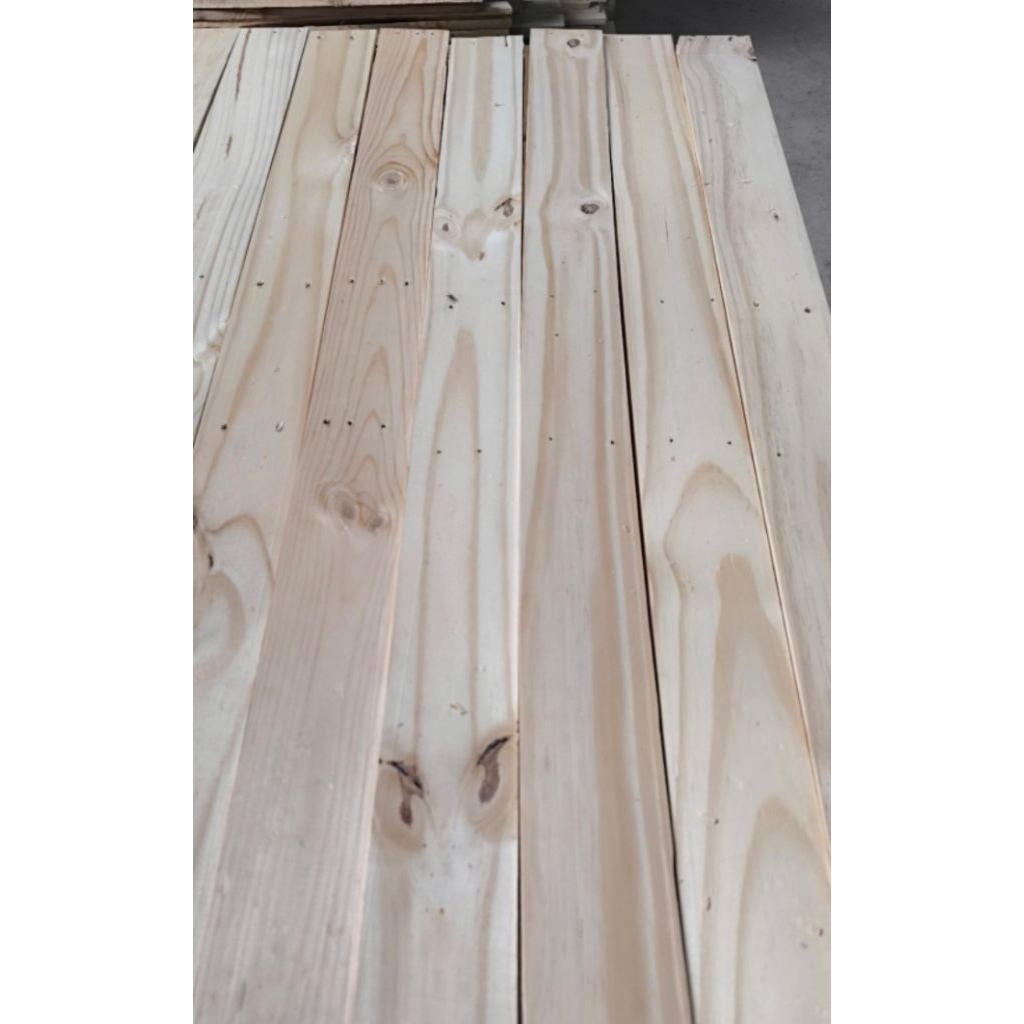 Kayu Pinus Jati Belanda