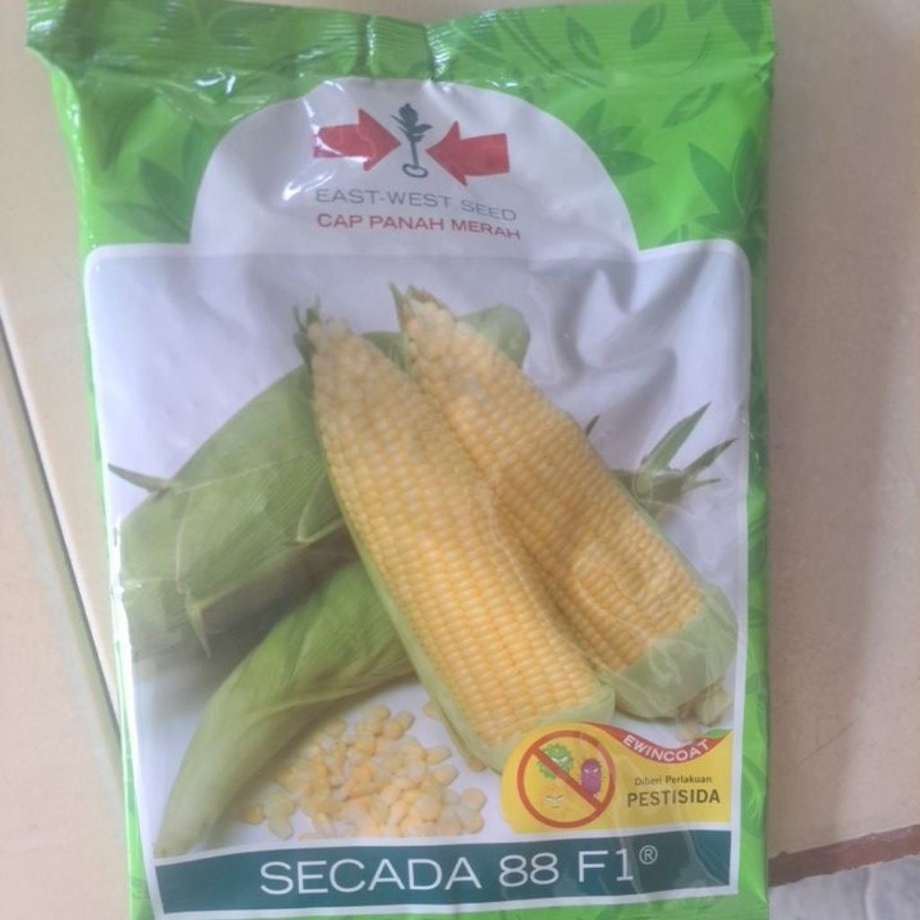 Benih Bibit Jagung Secada/ Jagung Madu F1 isi 1800butir