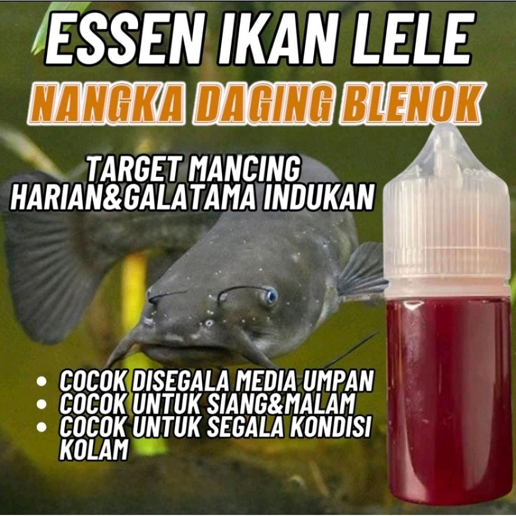Essen mancing ikan lele aroma nangka daging blenok Essen Oplosan Ikan Lele media umpan lumut