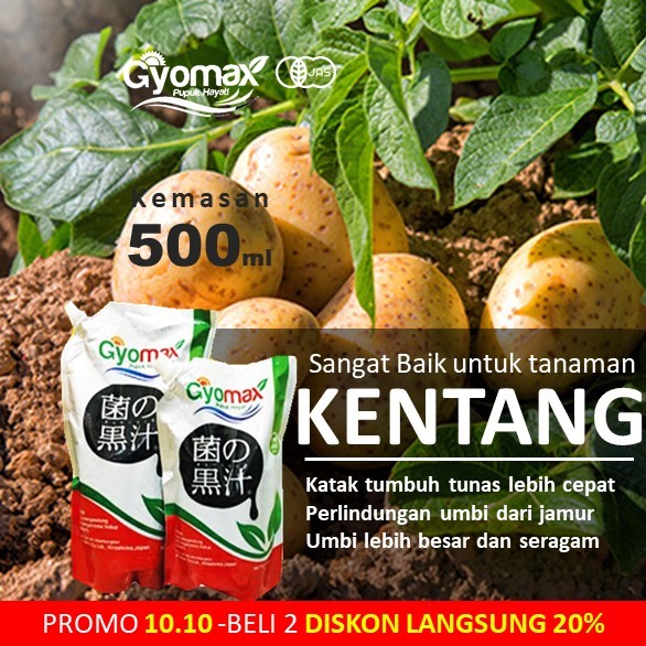 PUPUK KENTANG - GYOMAX - 500 ML