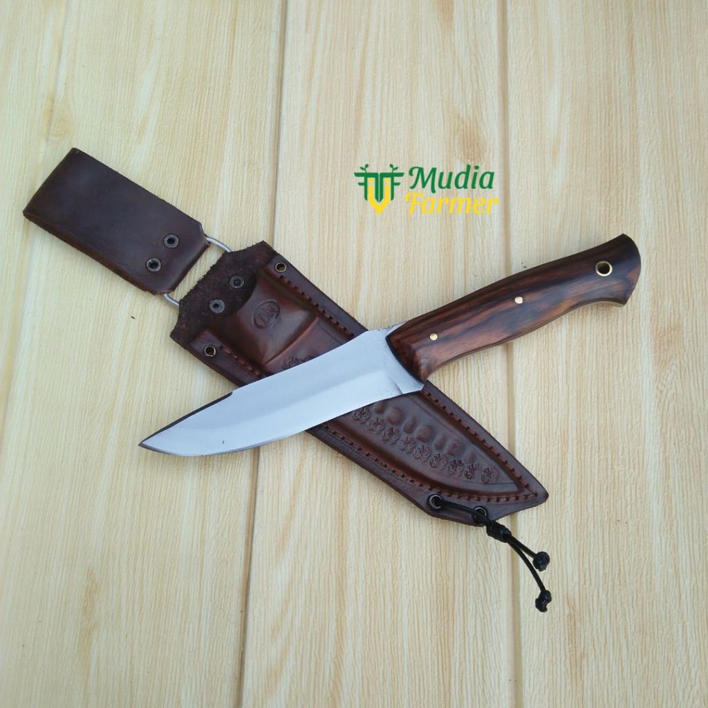 Pisau Bushcraft Petualangan & Perkebunan – Baja HSS Premium