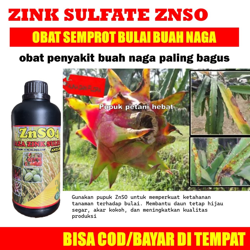 ZnSO4 GAZA ZINK SULFATE 500 ml obat penyakit buah naga paling bagus pupuk buah naga agar cepat berbu