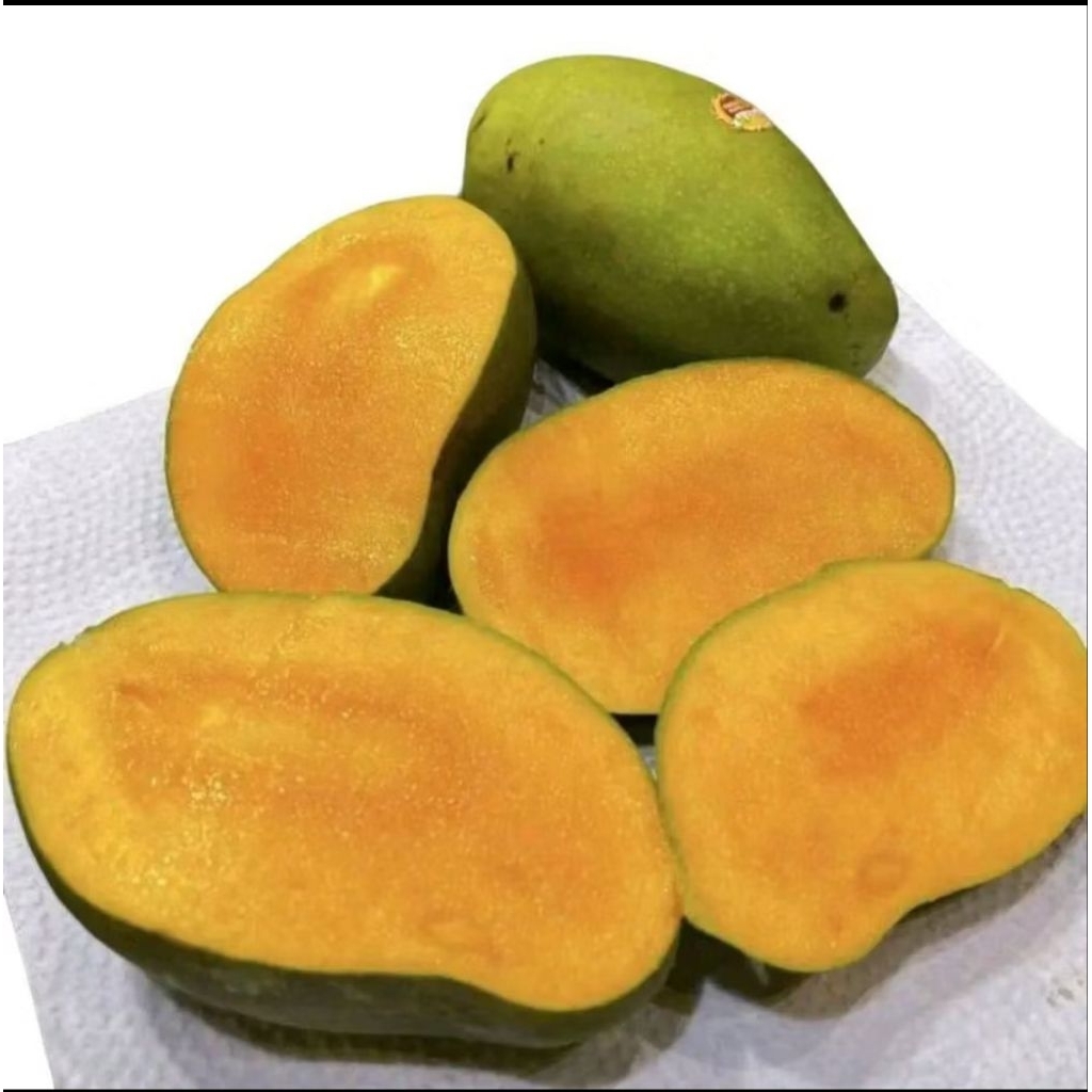 mangga harum manis mangga super segar 1kg
