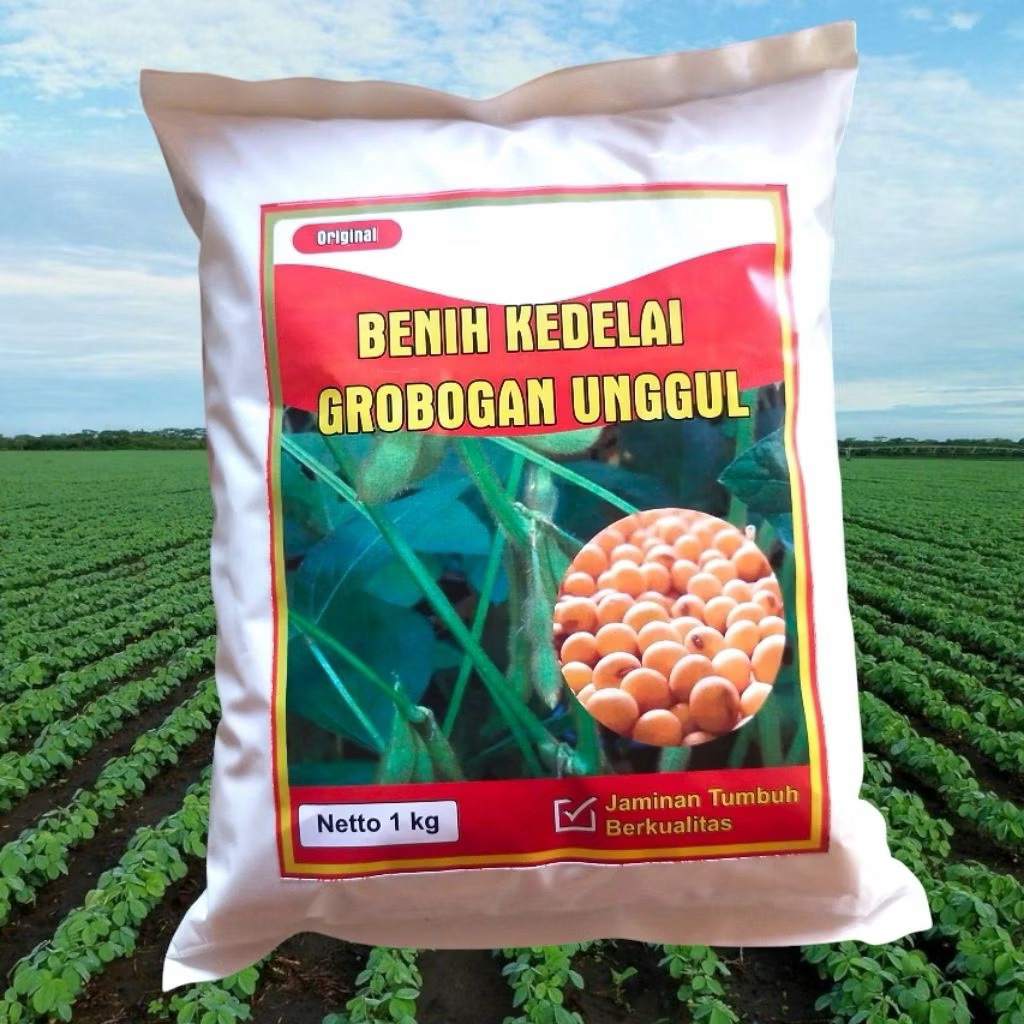 BENIH KEDELAI GROBOGAN UNGGUL (1kg)