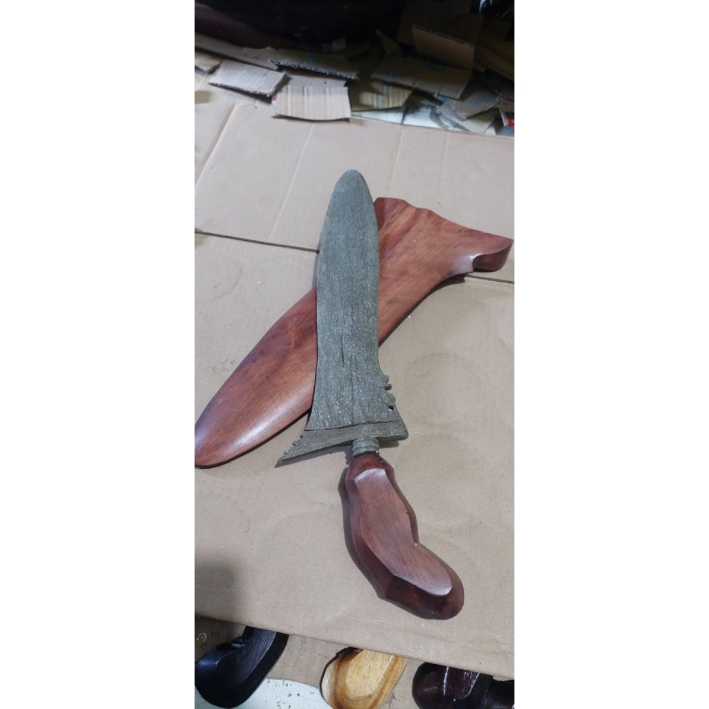 betok singo jumbo meteorid